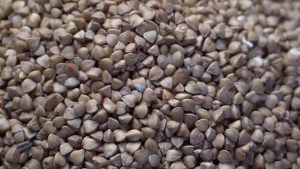 Close Rotating Buckwheat Shooting Cereal Groats Studio Macro Footage Grits — Stock Video