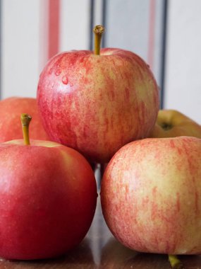 Birkaç olgun çizgili elma, yakın plan bir çekim. Gala ve Ligol çeşitlerinden elmalar.