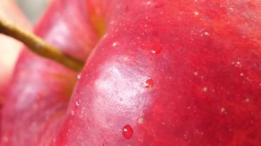 Güzel kırmızı elma yakın plan. Son derece detaylı makro video tam Hd biçiminde.