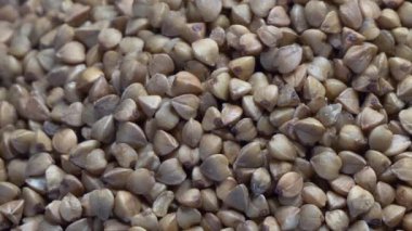 Makro karabuğday videosu, tam kare, kaydırak. Tam HD ile son derece detaylı video.