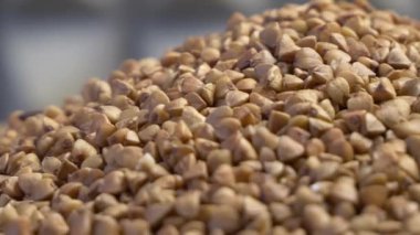 Karabuğday sürüsü. Yakın plan, detaylı video..