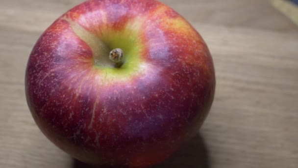 Una Gran Manzana Gala Madura Primer Plano Video Con Manzana — Vídeo de stock