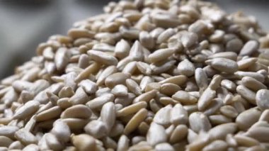 Ayçiçeği tohumlarının dönüşü. Seçici odaklanma. Yan görünüm, yakın plan.