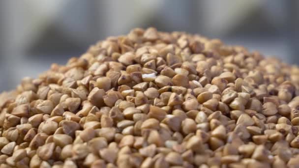 Roasted Buckwheat Grains Macro Rotation Buckwheat Cereal Close — Stock Video