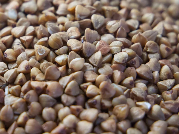 Organic buckwheat groats macro background. Roasted dry buckwheat grains texture close-up. Wholegrain buckwheat seeds for gluten free diet, vegetarian food and dietary fiber concepts. Full frame.