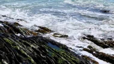 Deniz dalgaları kayalara çarptı. Rocky deniz kıyısında bir günde. El bilgisayarı videosu.
