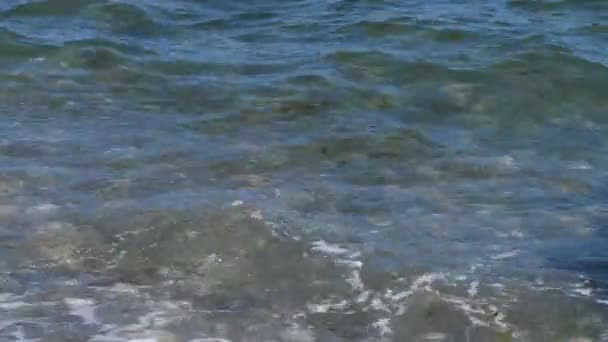 Κυματισμοί Στην Επιφάνεια Του Νερού Μικρά Κύματα — Αρχείο Βίντεο