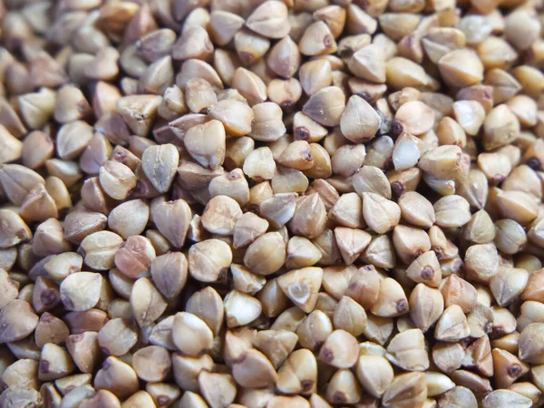 Organic buckwheat groats macro background. Roasted dry buckwheat grains texture close-up. Wholegrain buckwheat seeds for gluten free diet, vegetarian food.