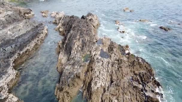 Una Gran Roca Bañada Por Olas Marinas Hermoso Paisaje Marino — Vídeo de stock