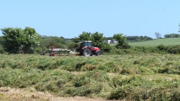 アイルランドのクロナキルティ 2022年6月4日 トラクターの上の農家は晴れた日に芝生をひっくり返し 乾燥が速くなり干し草になります 農家の畑で働くこと — ストック動画
