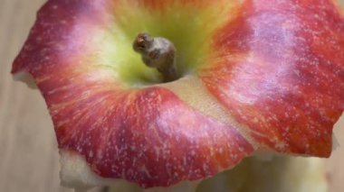 Yakın planda yarısı yenmiş bir kırmızı elma. Gala çeşitliliğinin çekirdeği, dönüşüm.