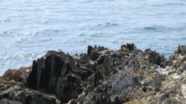 Güneşli bir günde taştan bir uçurum ve deniz dalgaları. Deniz manzarası, 4K video. El bilgisayarı videosu.