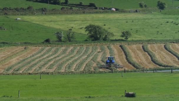 West Cork Irlanda Junho 2022 Trator Está Recolher Feno Num — Vídeo de Stock