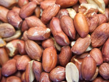 Kavrulmuş soyulmamış fıstık makrosu. Fıstık arkaplanına yakın plan