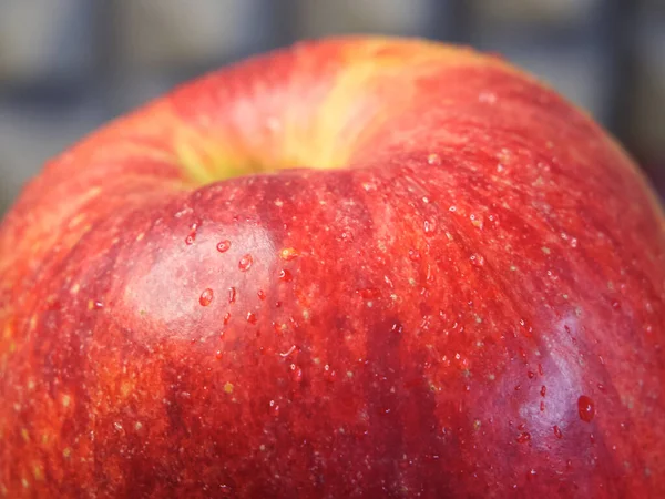 Ein Großer Reifer Gala Apfel Eine Nahaufnahme — Stockfoto