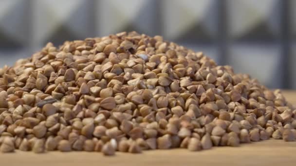 Whole Grain Buckwheat Seeds Dietary Fiber Uncooked Dry Cereal Kernels — Stockvideo