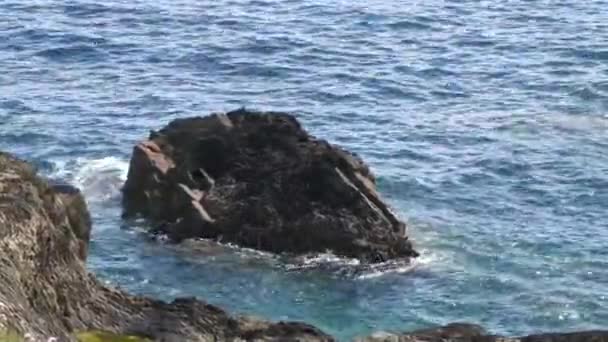 Ein Großer Steinblock Und Türkisfarbenes Meerwasser Video Seelandschaft Sonnig Warmes — Stockvideo