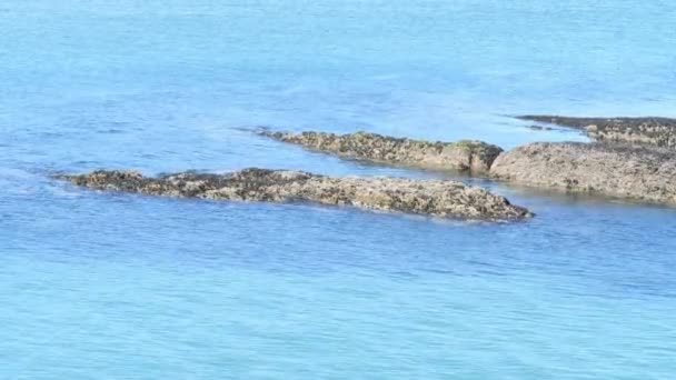 Ηρεμία Επιφάνεια Της Θάλασσας Μια Ηλιόλουστη Μέρα Μεγάλες Πέτρες Στο — Αρχείο Βίντεο