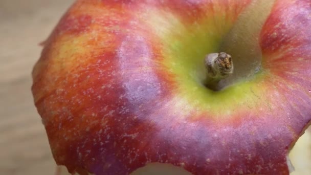 Połowie Zjedzone Jedno Czerwone Jabłko Bliska Rdzeń Jabłka Galowej Odmiany — Wideo stockowe
