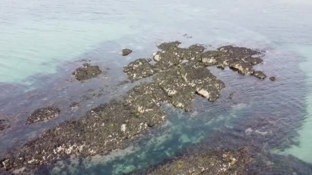 Pedras Expostas Após Maré Baixa Meio Mar Paisagem Marinha — Vídeo de Stock