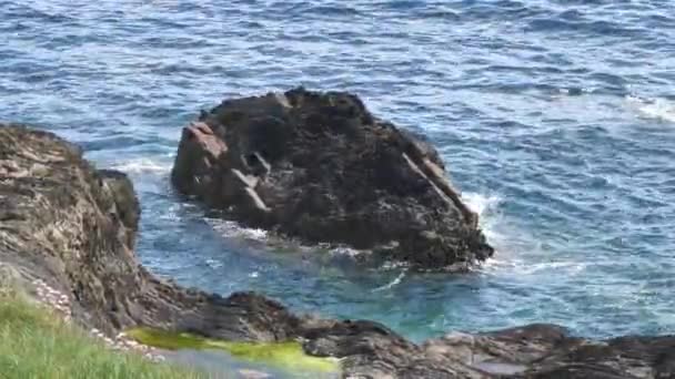 Ein Steinblock Und Türkisfarbenes Meerwasser Video Seelandschaft Sonnig Warmes Wetter — Stockvideo