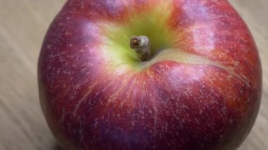 One large ripe gala apple in close-up. Video with apple.