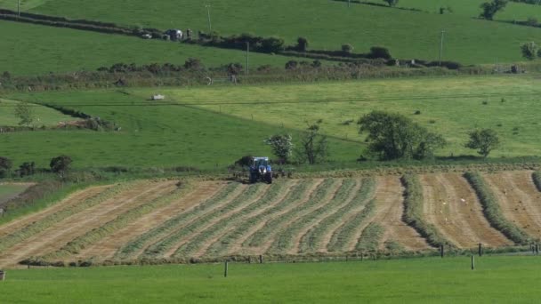 West Cork Ireland June 2022 Tractor Raking Hay Farmer Field — Stockvideo