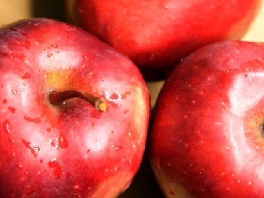 Islak Kırmızı Şef elmaları, yakın çekim. Olgun meyveler.