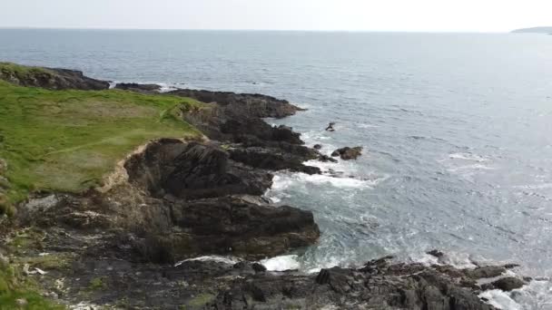 Sea Coast West Cork Aerial View Grassy Rocks Seashore Irish — Vídeo de stock