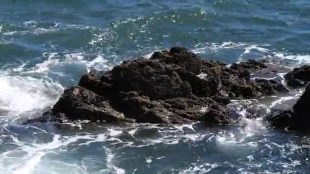 Small Sea Waves Big Rocks Water Handheld Video — Stock video
