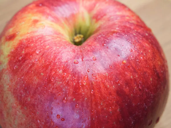 Ein Großer Reifer Gala Apfel Ein Makro Shot Schöne Rote — Stockfoto
