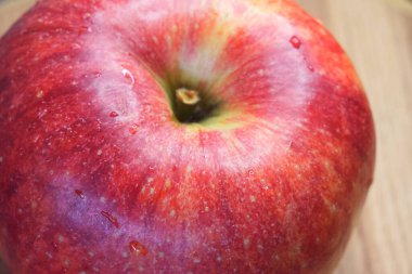 Büyük olgun bir gala elması, yakın çekim. Güzel kırmızı meyve.