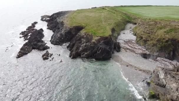 Flying Coastal Cliffs Seascape Thick Green Grasses — Vídeo de stock