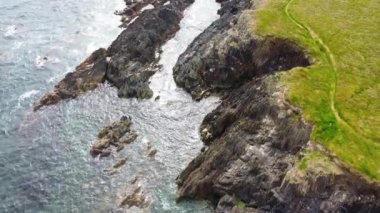 İrlanda 'nın resimli taş kıyıları. Kelt Denizi 'nin suları kıyılardaki kayalıklara vuruyor..