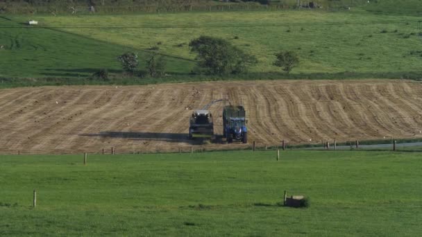 West Cork Ireland June 2022 Farmer Combine Harvester Processes Grass — Vídeo de Stock