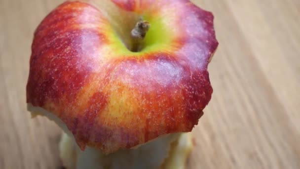 Half Eaten One Red Apple Close Core Apple — Stockvideo