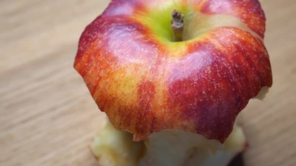 Stub Large Apple Half Eaten One Red Apple Close — Vídeo de Stock