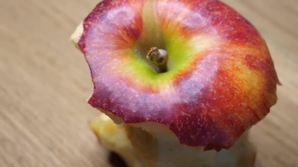 Stub Large Apple Half Eaten One Red Apple Close Core — Vídeo de Stock