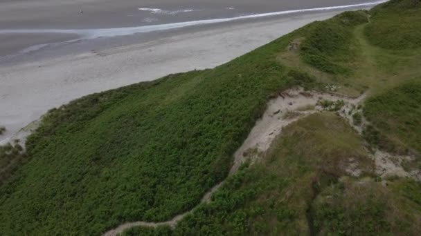 Shrubs Grow Mountainside Large Hill Sandy Beach Aerial View — Stock video