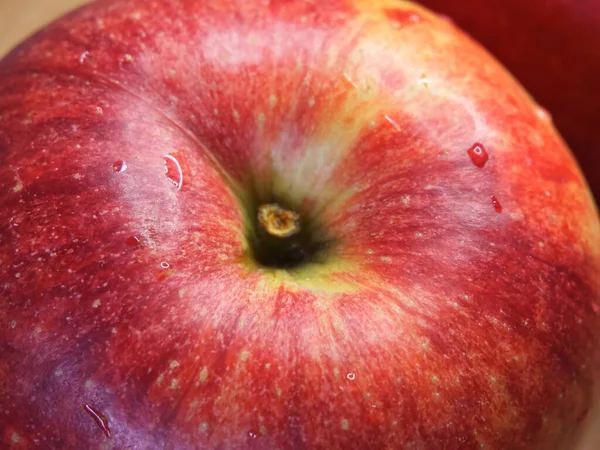 Single Large Ripe Gala Apple Close Shot — Stockfoto