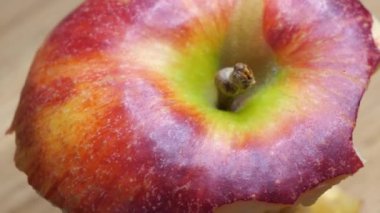 The core of the red apple rotates, macro video, full hd.