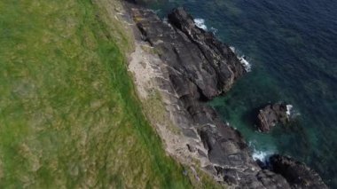 Thick green grass on the shore. Seaside landscape, footage from a drone in full hd format. The blue waves of the Atlantic.