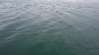The surface of the sea, top view. Full frame video of the water surface.