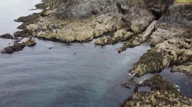 Rocky seashore, top view. Calm water surface, small ripples on the water. Coastal rocks.