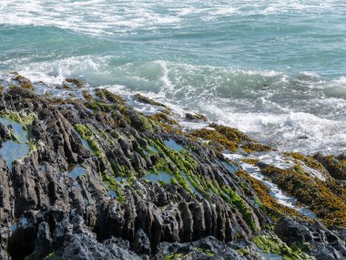 Foam on the sea waves and coastal rocks. Seaweed on rocks, landscape. Green moss on rock near body of water