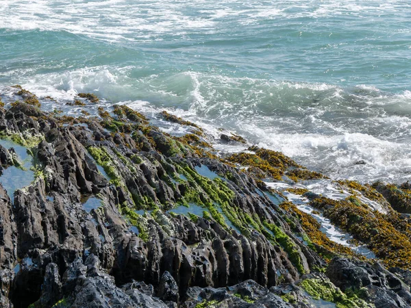 Foam Sea Waves Coastal Rocks Seaweed Rocks Landscape Green Moss — ストック写真