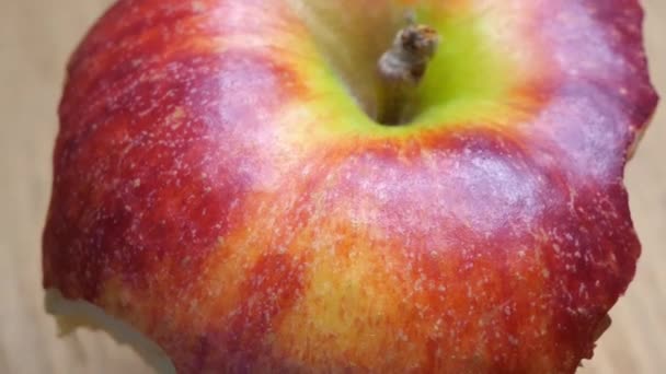 Core Red Apple Rotates Macro Video Video Full Resolution — Stockvideo
