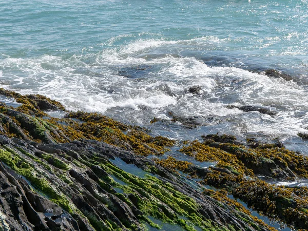 Foam Waves Coastal Rocks Seaweed Rocks Landscape Green Moss Rock — Stock Photo, Image