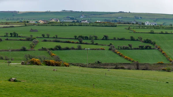 Buildings Green Fields South Ireland West Cork Agricultural Landscape Picturesque — Foto de Stock