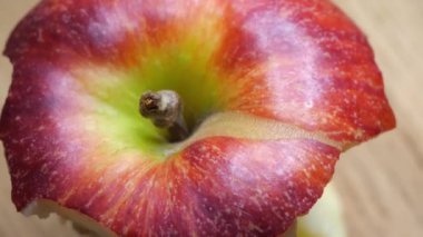 The core of the red apple rotates, macro video.